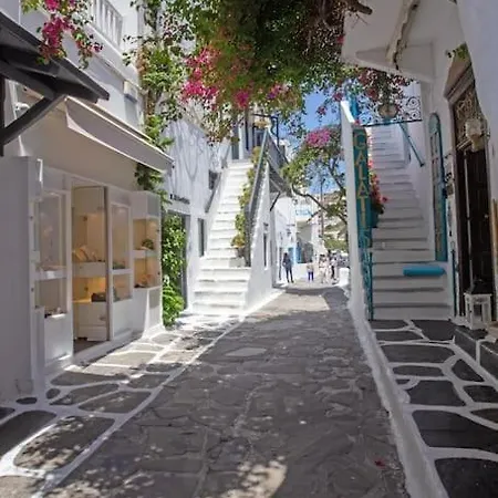 公寓 Casablu Town Mykonos Town